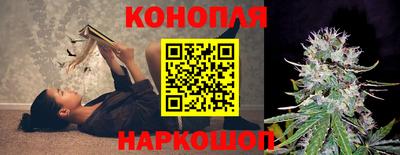 гашик Ливны