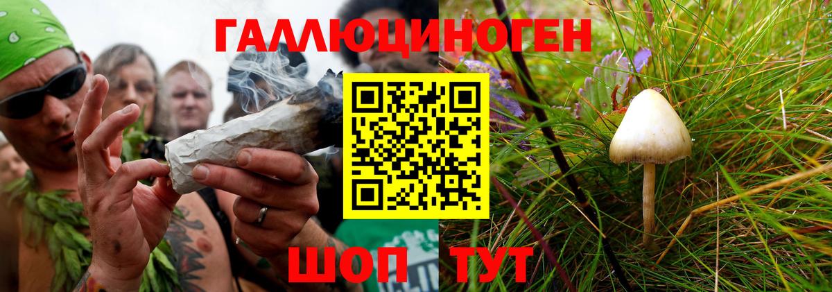 Псилоцибиновые грибы MAGIC MUSHROOMS  Вход с VPN  Псилоцибиновые грибы ЛСД  Усть-Илимск 